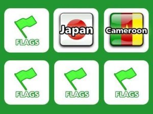 Memory with Flags: World Flag Puzzle Game