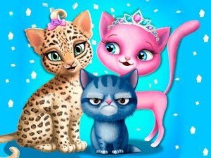 Cat Hair Salon Birthday Party Online Game